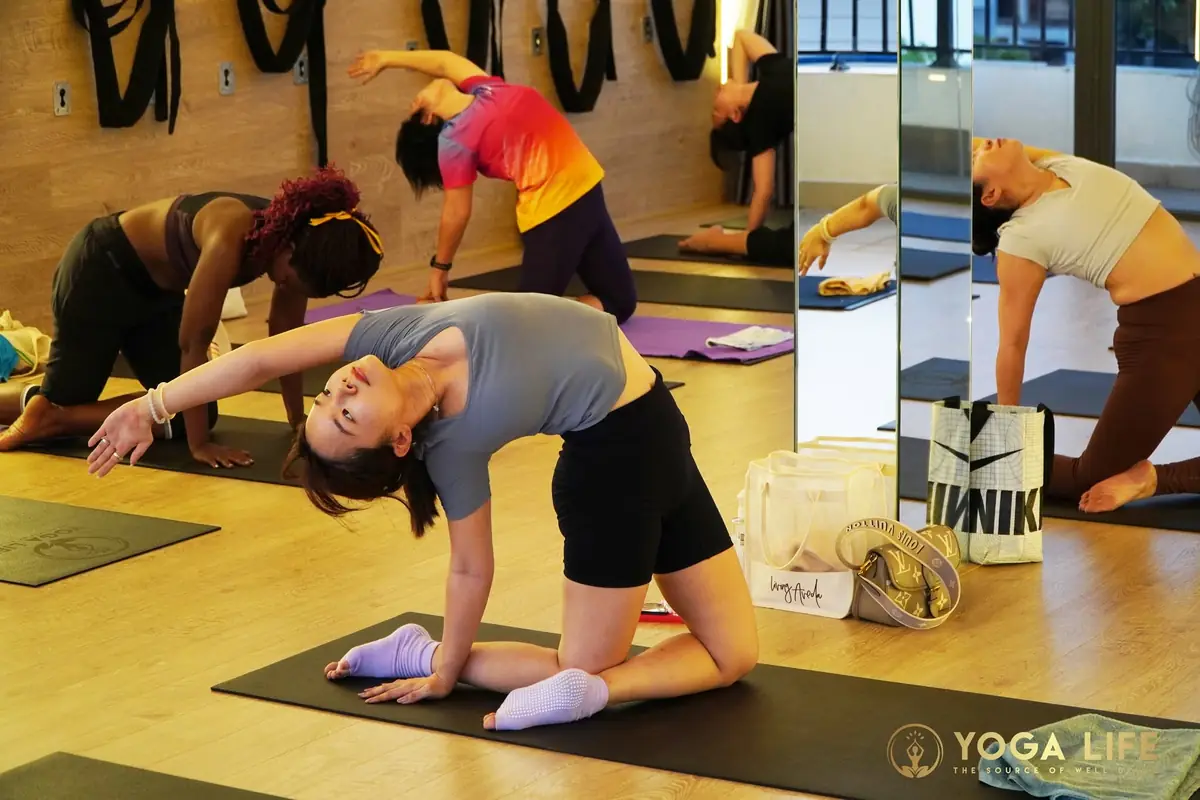 Flow / Vinyasa